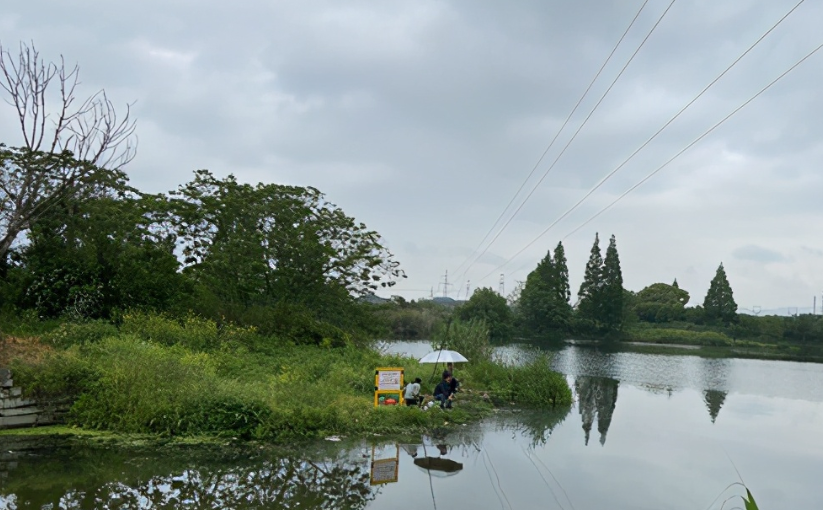 高壓線(xiàn)下不能垂釣,為什么還是發(fā)生這樣的悲劇！
